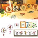 ��ǰ�̹���