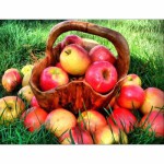 ��ǰ�̹���